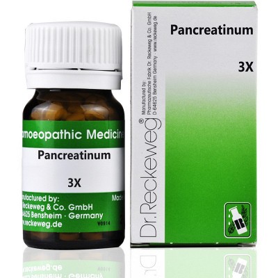 Dr. Reckeweg Pancreatinum 3X (20g)